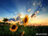 淮安春之宇网络科技有限公司