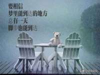 淮安春之宇网络科技有限公司