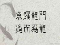 淮安春之宇网络科技有限公司