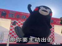 淮安春之宇网络科技有限公司