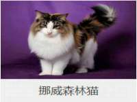 淮安春之宇网络科技有限公司