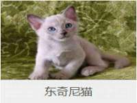 淮安春之宇网络科技有限公司