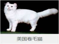 淮安春之宇网络科技有限公司