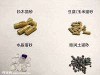 淮安春之宇网络科技有限公司