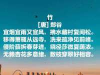 淮安春之宇网络科技有限公司