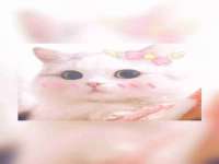 淮安春之宇网络科技有限公司