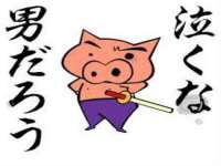 淮安春之宇网络科技有限公司