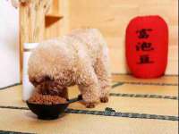 淮安春之宇网络科技有限公司