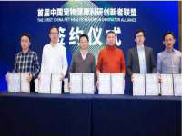 淮安春之宇网络科技有限公司
