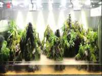 淮安春之宇网络科技有限公司