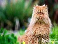 淮安春之宇网络科技有限公司