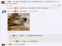 淮安春之宇网络科技有限公司