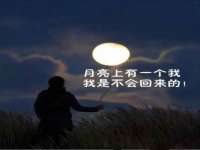 淮安春之宇网络科技有限公司