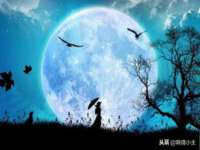 淮安春之宇网络科技有限公司